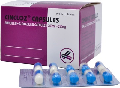 _DSC1527 d.jpg _DSC1527 d.jpg